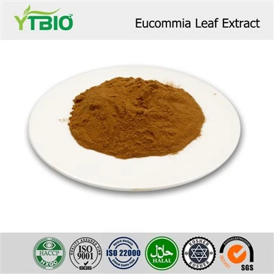 Eucommia পাতা নির্যাস